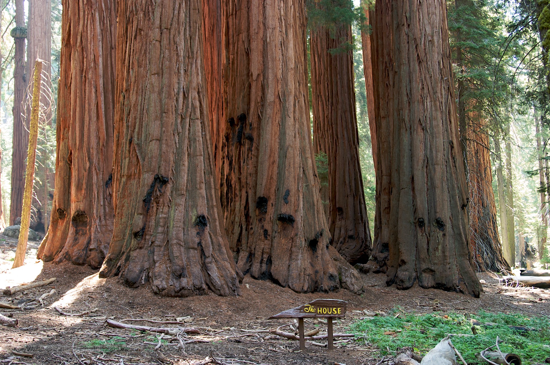 The House at Sequoia National Park Desktop Wallpaper