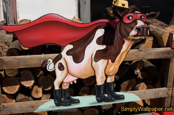 sign depicting a cow dressed as a superhero in a cape and mask