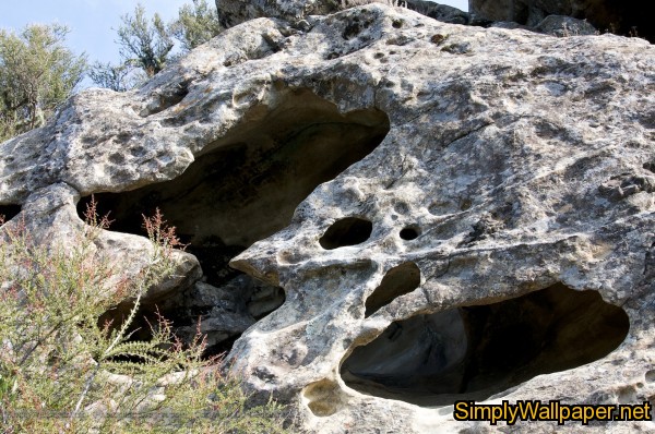 wind caves, holes cut into the rock by the wind