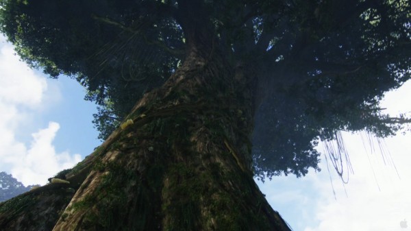 giant hometree on Pandora