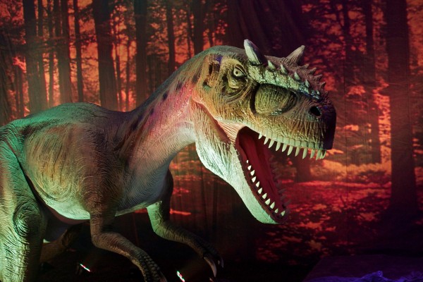 bipedal predator dinosaur with many sharp teeth, large head and long tail