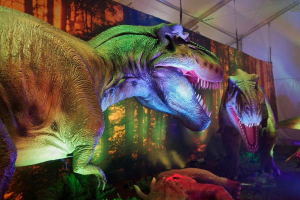 two large bipedal carnivorous dinosaurs
