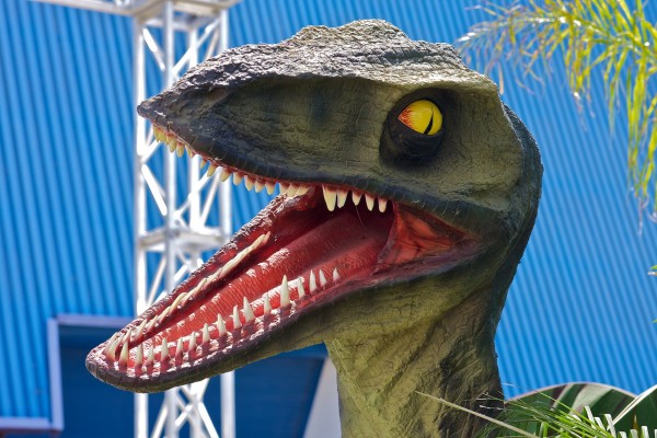 closeup of dinosaur's head, mouth open with many teeth