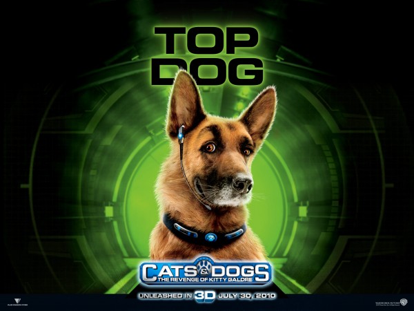 wallpaper picture of Diggs the dog from the movie Cats and Dogs Revenge of Kitty Galore