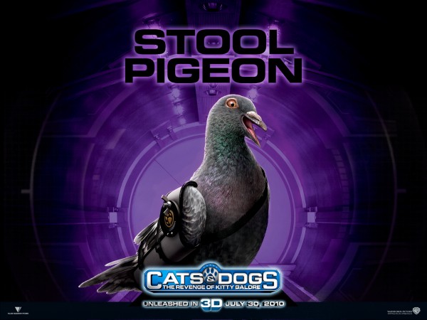 wallpaper picture of Seamus the pigeon from the movie Cats and Dogs Revenge of Kitty Galore