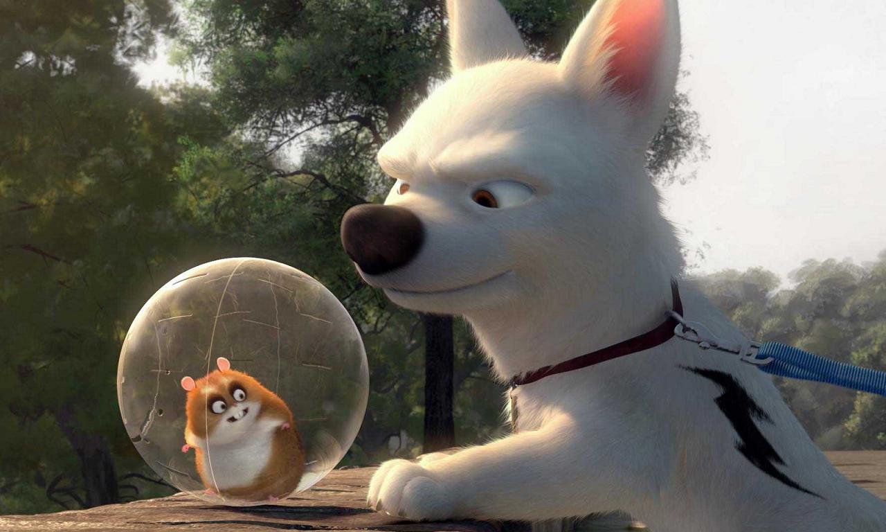 Bolt wallpaper Bolt screenshot Bolt movie dog canine super dog pictures 