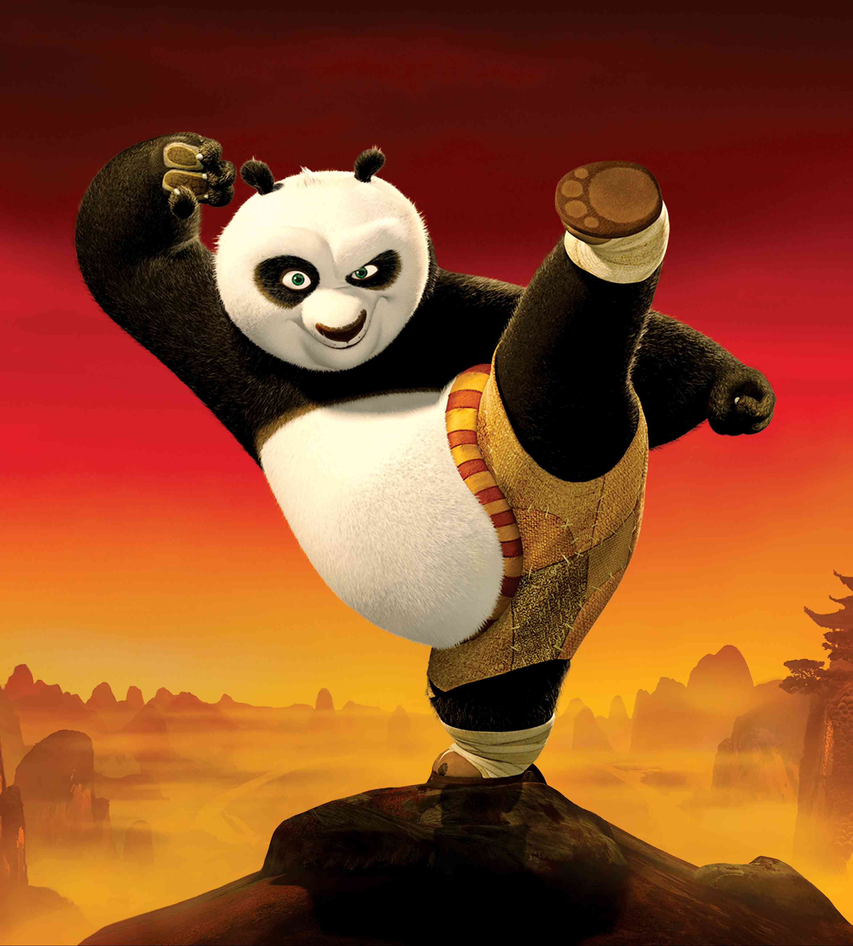 po kung fu panda with hat