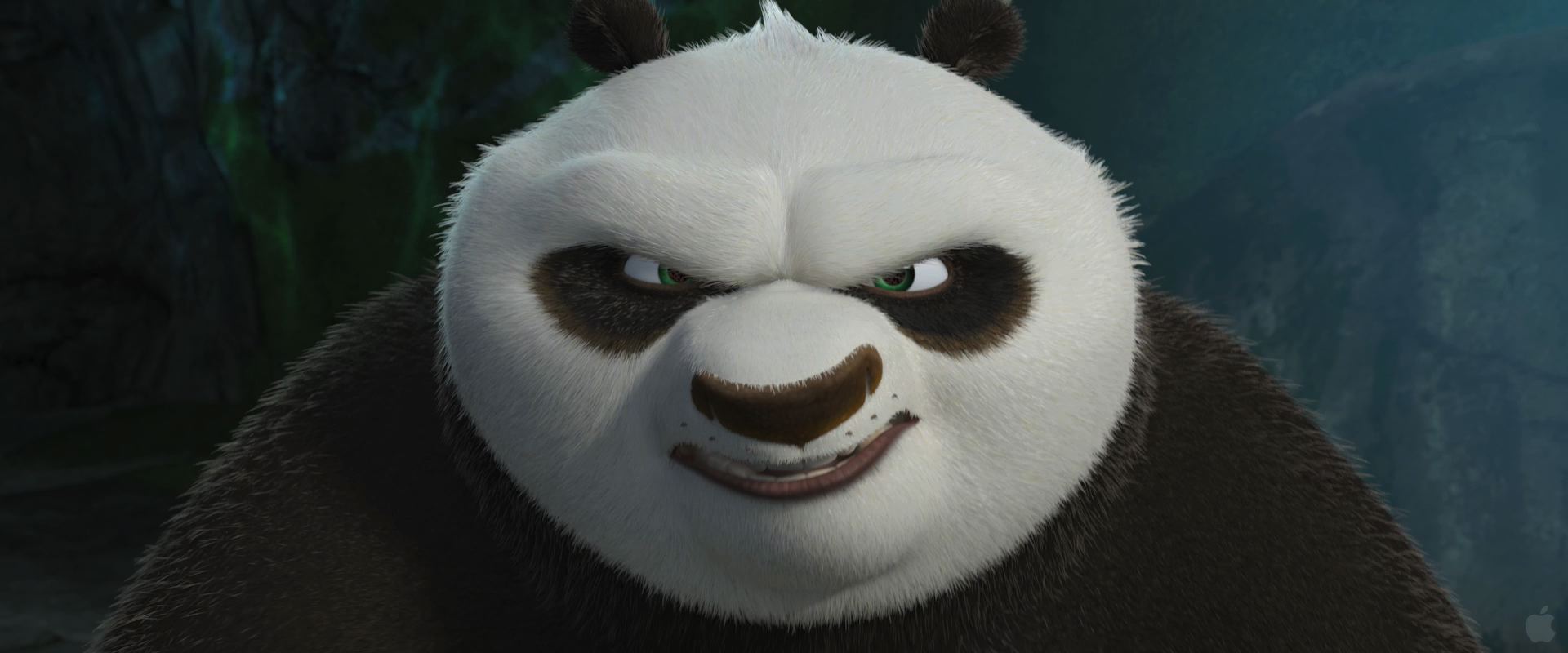 po kung fu panda with hat