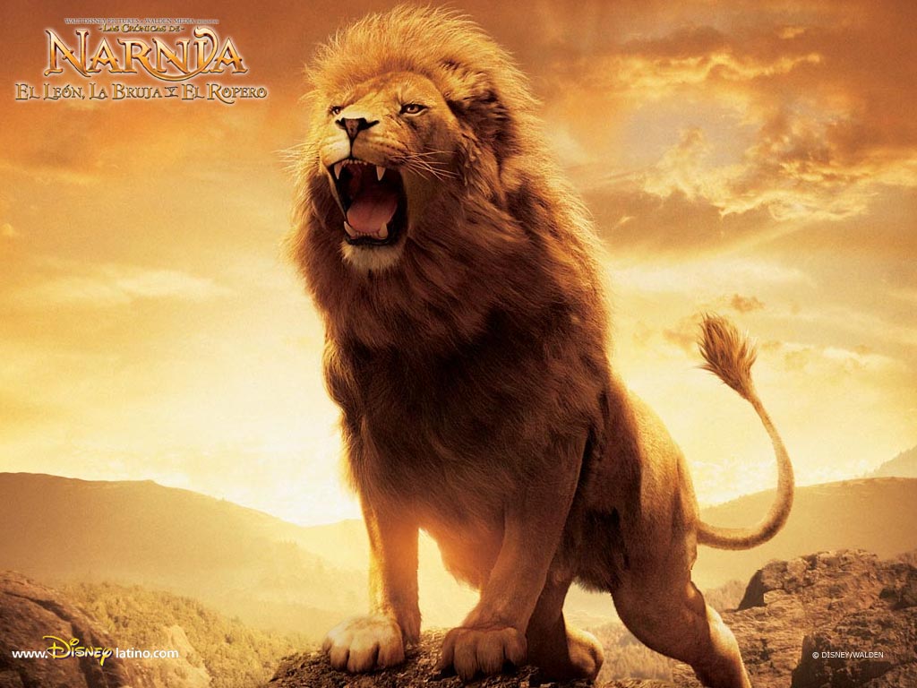 The chronicles of narnia aslan hi-res stock photography and images