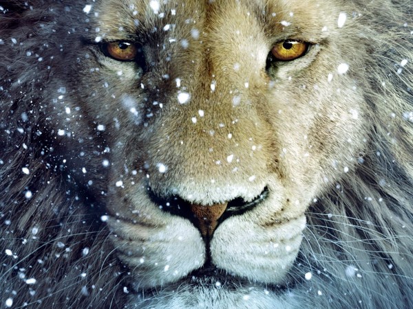 Narnia Aslan Wallpapers - Wallpaper Cave