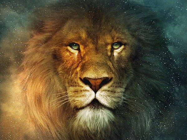 Aslan the lion from the Chronicles of Narnia wallpaper