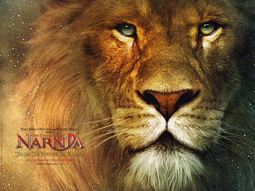 Aslan-Lion-3-The-Chronicles-of-Narnia-Wallpaper – While We're Paused…