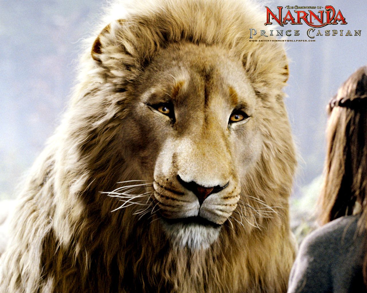 for narnia and for aslan