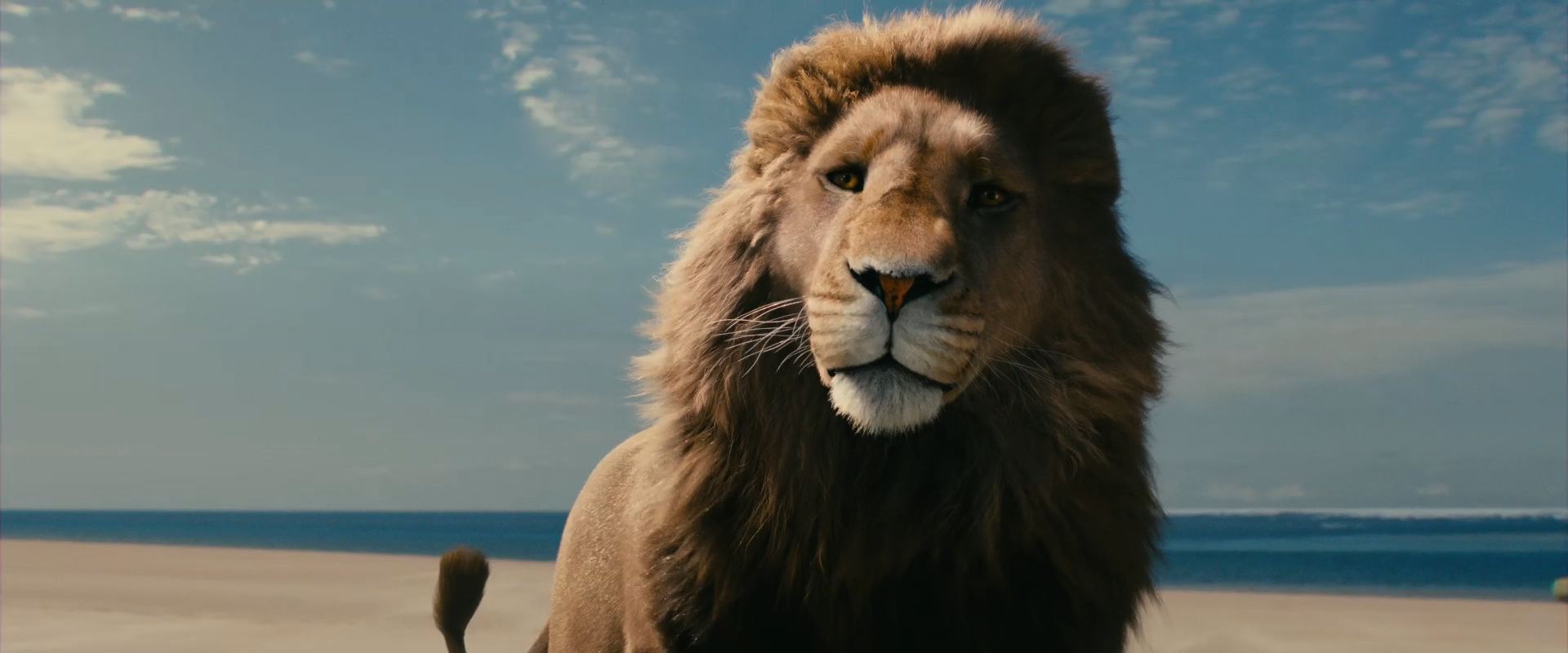 Aslan the Lion from the Movie The Chronicles of Narnia Voyage of