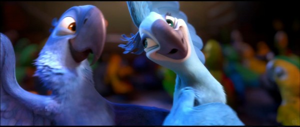 two macaws, Blu and Jewel, dancing from the animated movie Rio wallpaper picture
