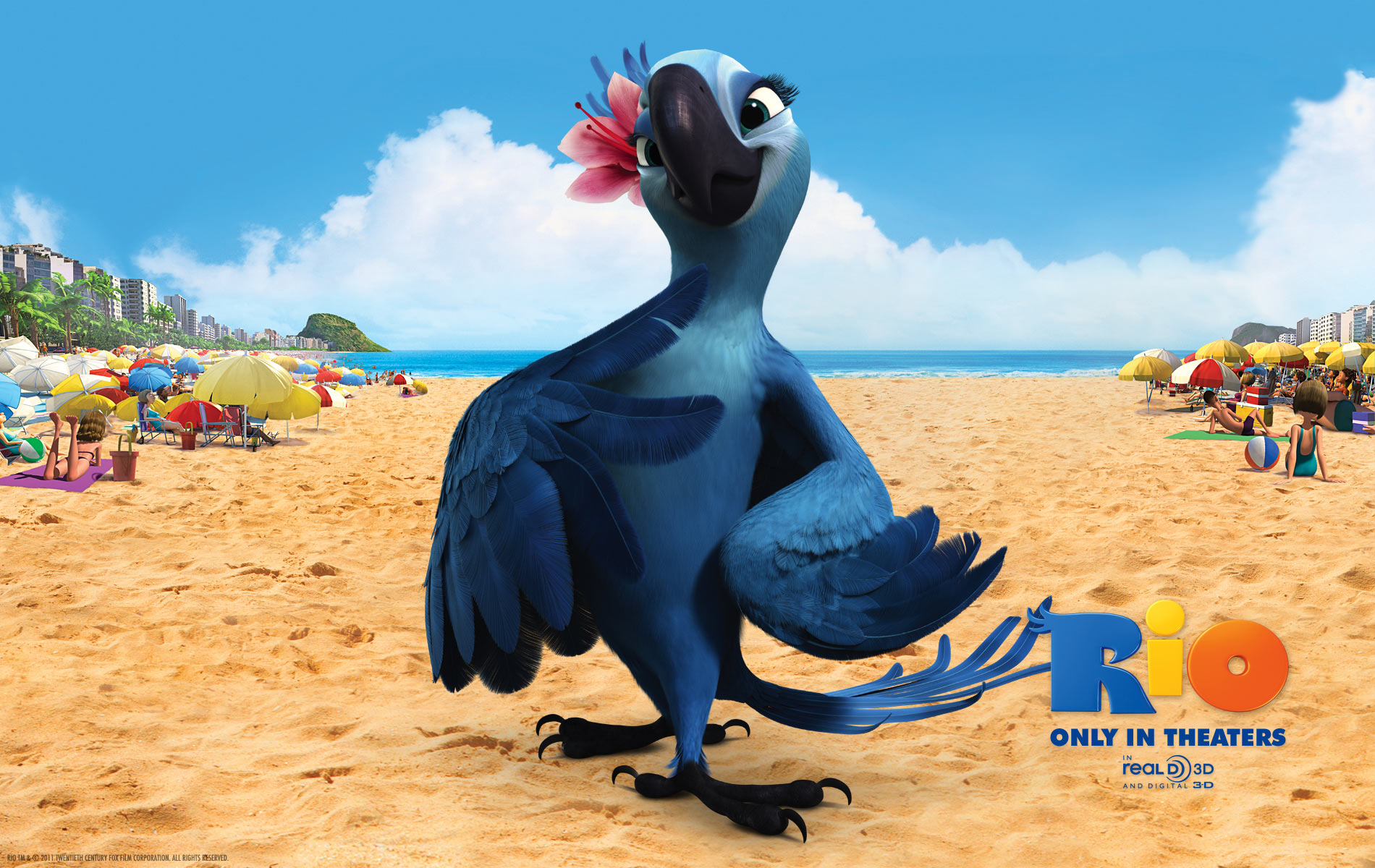 Jewel the Blue Macaw in the Movie Rio Desktop Wallpaper