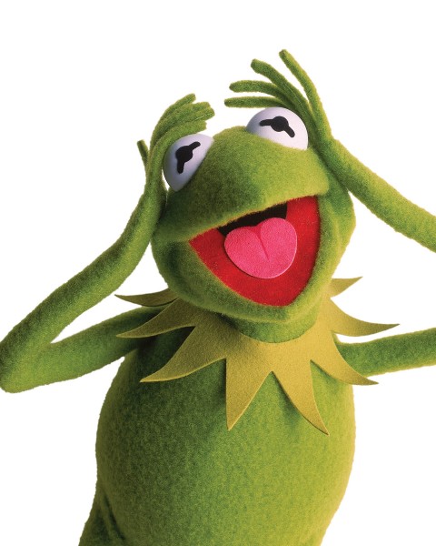Kermit the frog from the Muppets wallpaper