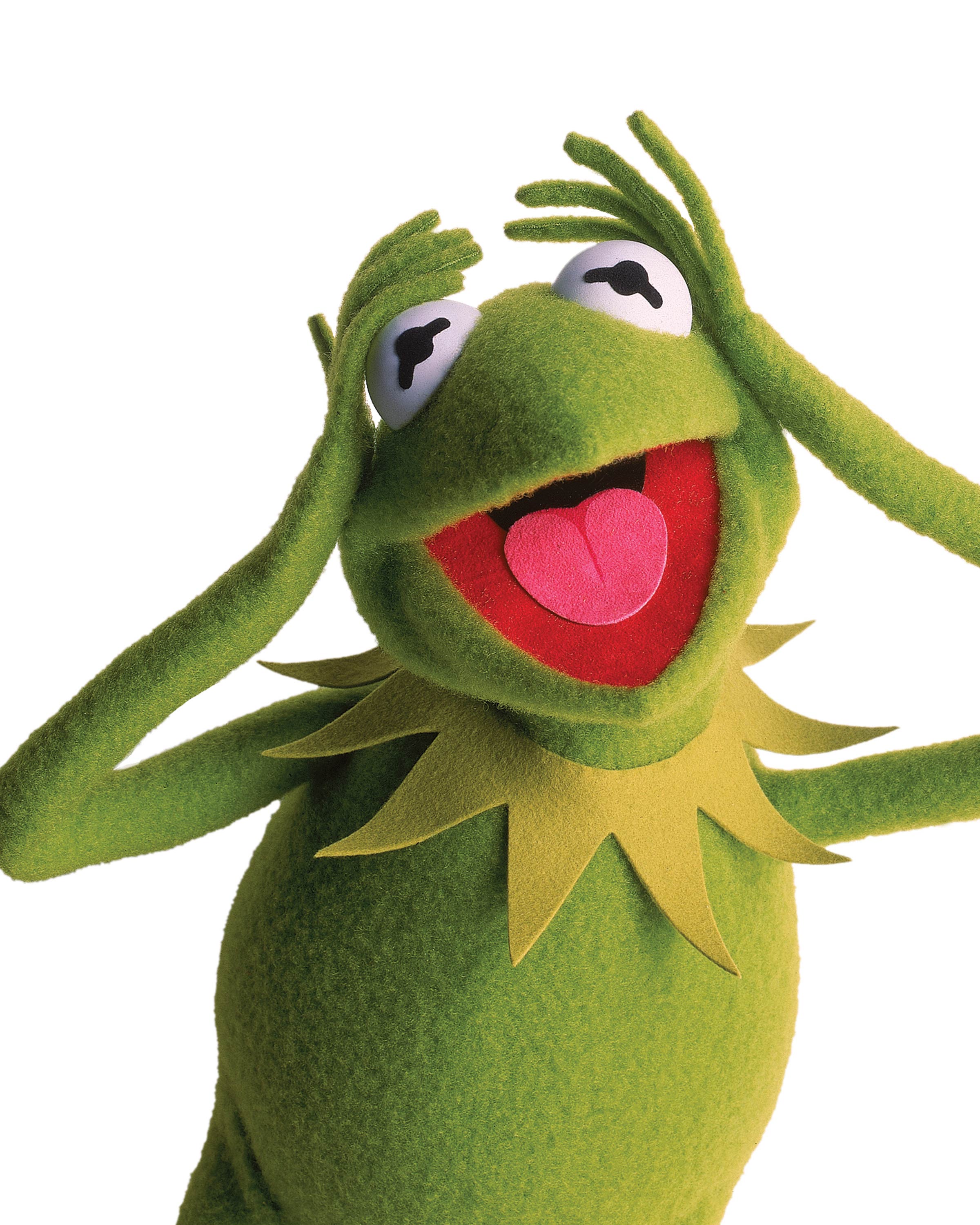 Kermit the Frog from the 2011 Muppets Movie Desktop Wallpaper