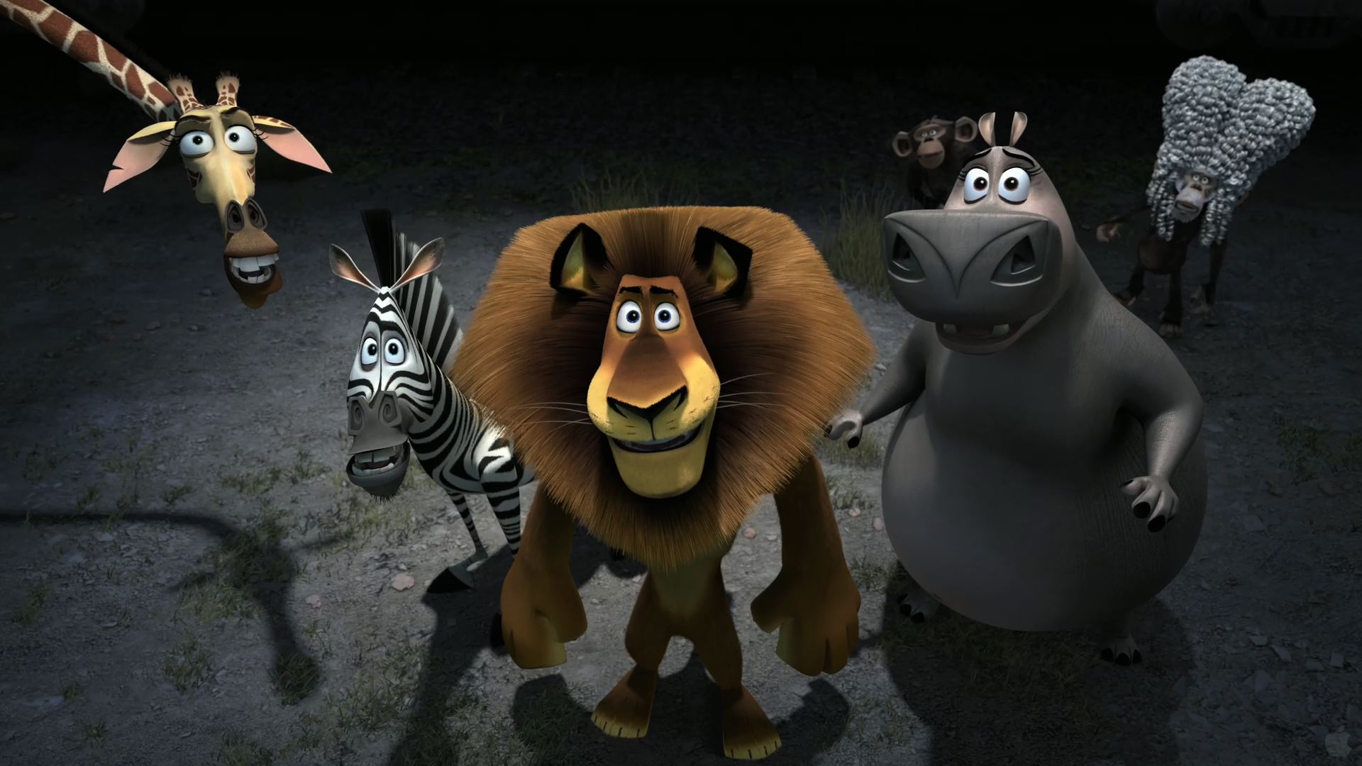 The Animals of Madagascar 3: Europe's Most Wanted Desktop Wallpaper