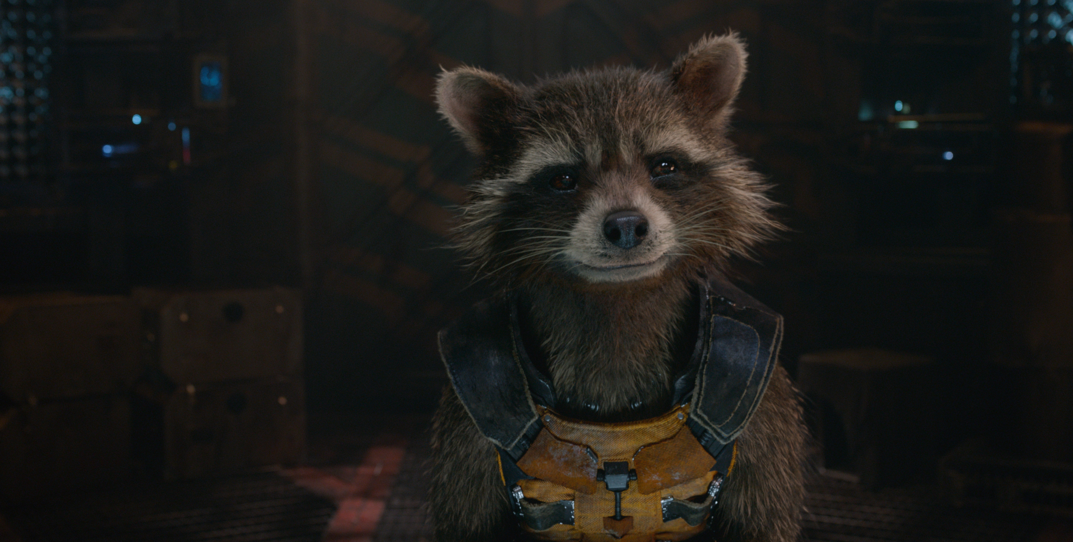 Rocket Raccoon From Marvel's Guardians of the Galaxy Desktop Wallpaper