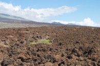 lava field, lots of scattered lava rocks