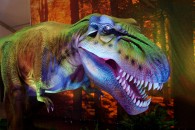 large bipedal carnivorous dinosaur