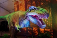 large bipedal carnivorous dinosaur