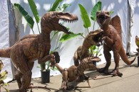 a collection of life sized metal sculptures/statues of bipedal dinosaurs
