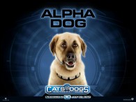 wallpaper picture of Butch the dog from the movie Cats and Dogs Revenge of Kitty Galore