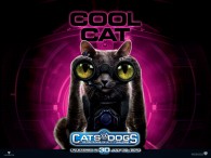wallpaper picture of Catherine the cat from the movie Cats and Dogs Revenge of Kitty Galore