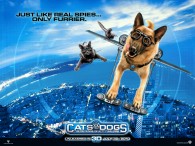 wallpaper picture of Diggs the dog from the movie Cats and Dogs Revenge of Kitty Galore
