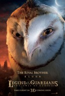 kludd the owl from legend of the guardians the owls of ga hoole wallpaper