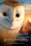 soren the owl from legend of the guardians the owls of ga hoole wallpaper
