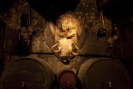 mounted hog's head on the wall over barrels of butter beer