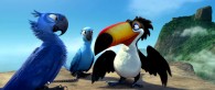 Rafael the toucan talks to Blu the macaw while Jewel looks on in a scene from the movie Rio