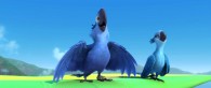 Blu and Jewel the macaws riding on a hang glider in a scene from the movie Rio