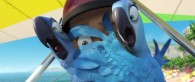 Blu and Jewel the macaws riding on a hang glider in a scene from the movie Rio