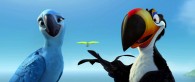 Rafael the toucan talks to Jewel the macaw in a scene from the movie Rio