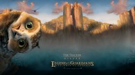 Digger the Owl from Legend of the Guardians