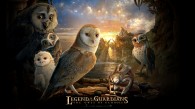 Main cast of owls from Legend of the Guardians