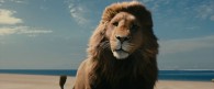 Aslan the lion from the Chronicles of Narnia Voyage of the Dawn Treader movie wallpaper