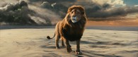 Aslan the lion from the Chronicles of Narnia Voyage of the Dawn Treader movie wallpaper