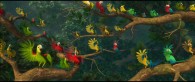 parrots in the forest from the animated movie Rio wallpaper picture
