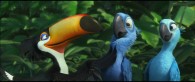 Rafael the toucan talks to Blu and Jewel from the animated movie Rio wallpaper picture