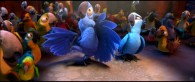 Blu and Jewel dancing from the animated movie Rio wallpaper picture
