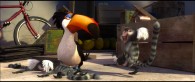 Rafael the toucan and a monkey from the animated movie Rio wallpaper picture