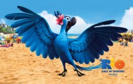 Jewel the blue macaw bird on the beach in the animated movie Rio