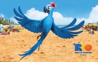 Jewel the blue macaw bird on the beach in the animated movie Rio