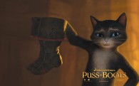 Kitty Softpaws from the Dreamworks animated movie Puss in Boots wallpaper