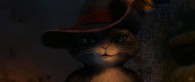 Kitty Softpaws from Dreamworks Puss in Boots movie wallpaper